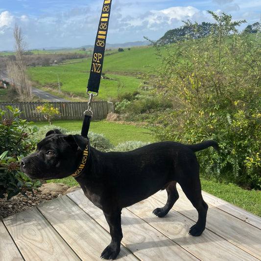 Staffy, Staffordshire Bull Terrier, SBT, Show Collar, Staffie, Martingales, Lamb Skin Martingale, Soft martingale