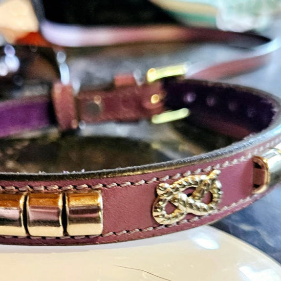 Staffy, staffie, Staffordshire bull terrier, dog, dogs, dog lovers, show dogs, SBT, Show Collar, Staffie, staffy leather show collar set