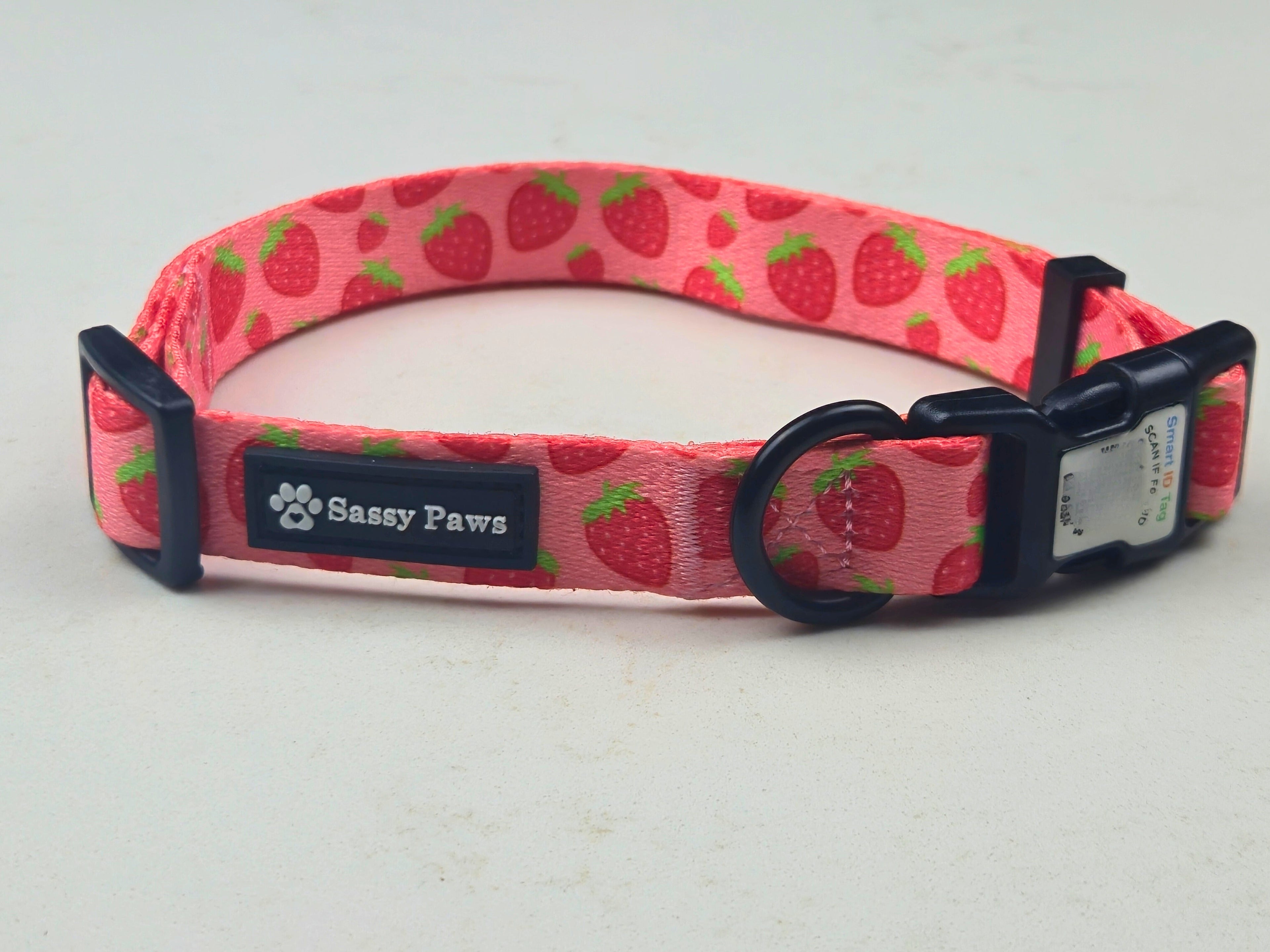 Dog Collar - Easy Scan QR ID - Strawberry Field