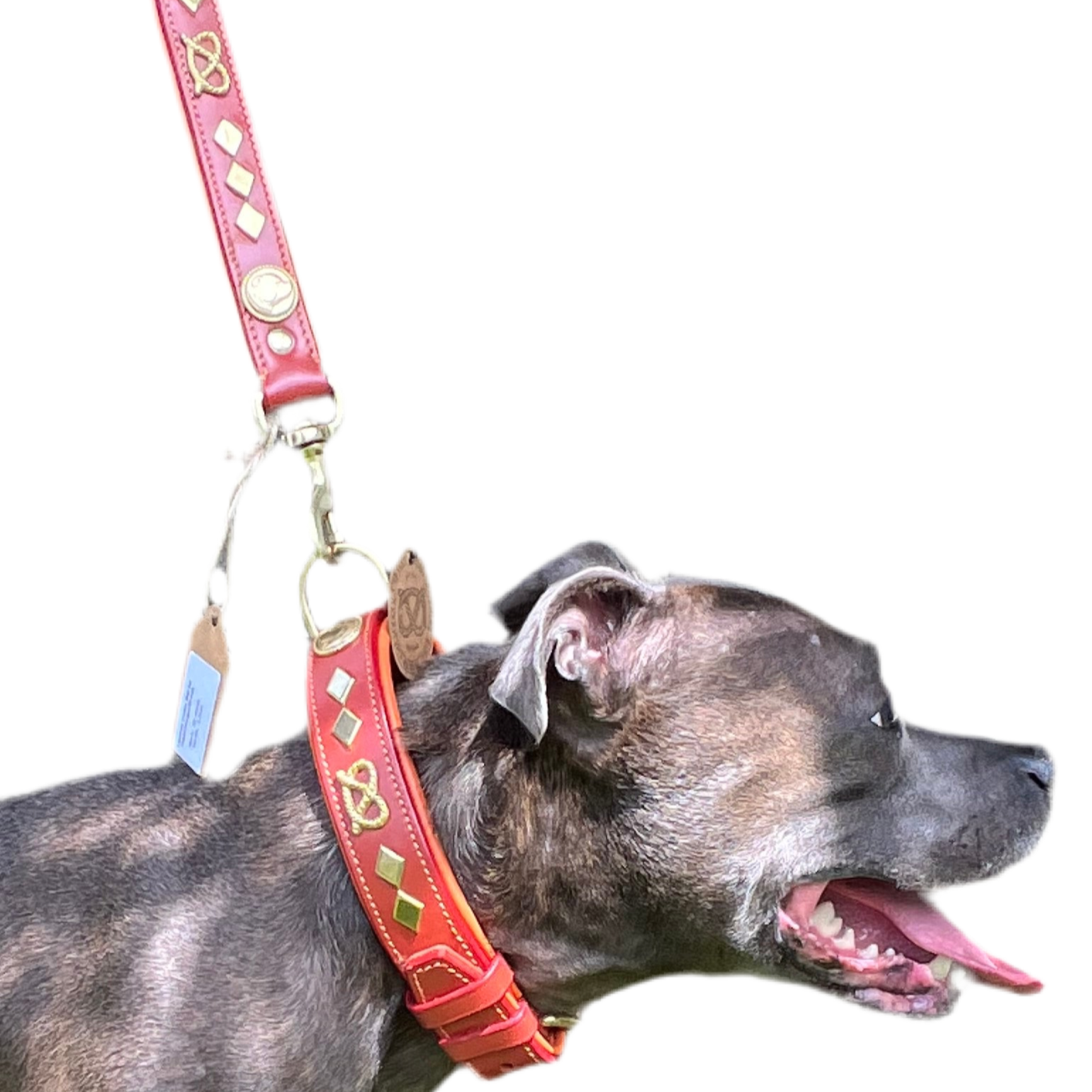 Staffy, Staffordshire Bull Terrier, SBT, Show Collar, Staffie, Wide Leather Collar set