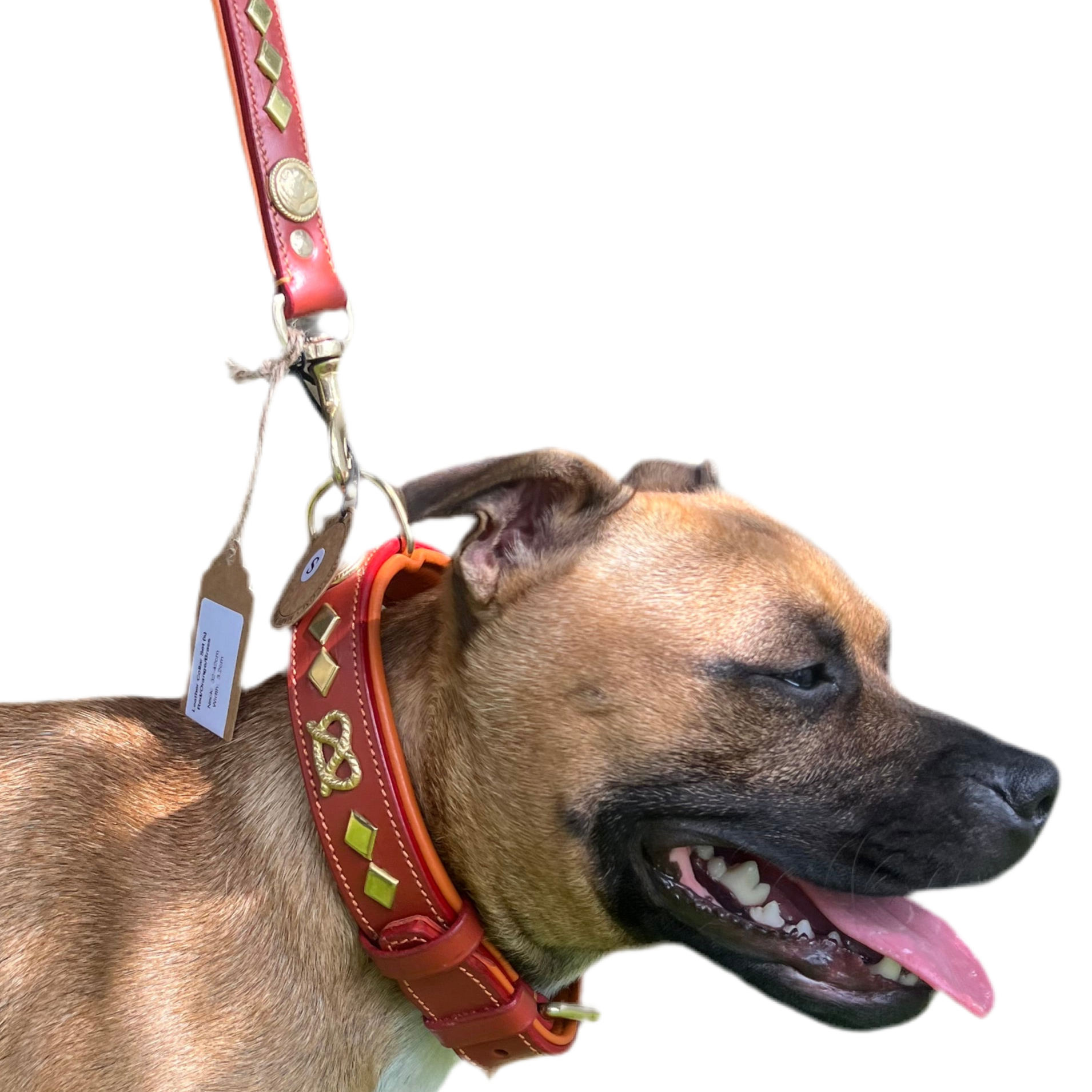 Staffy, Staffordshire Bull Terrier, SBT, Show Collar, Staffie, Wide Leather Collar Set