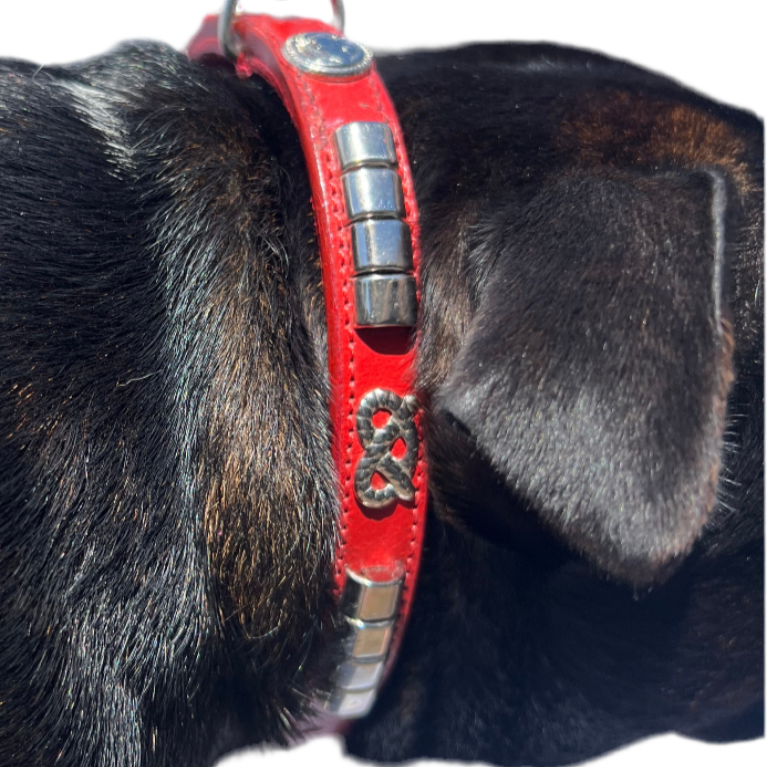 Staffy, Staffordshire Bull Terrier, SBT, Show Collar, Staffie, Leather Collar