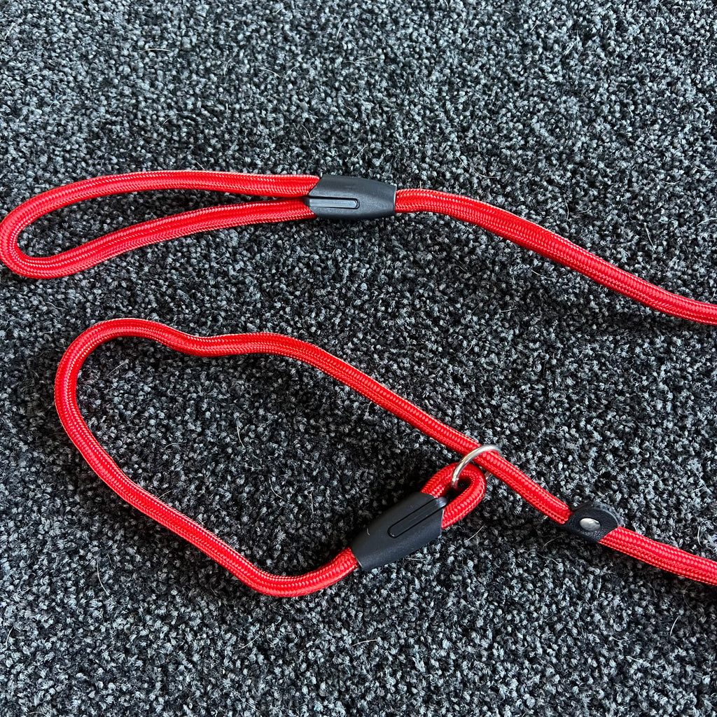 Red dog leash with black plastic clips on a textured gray surface