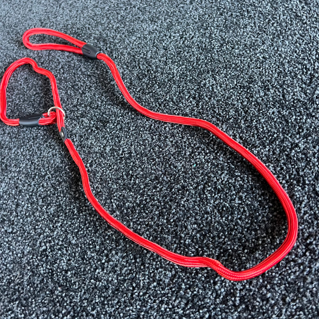 Red dog leash with black clip on a textured gray surface