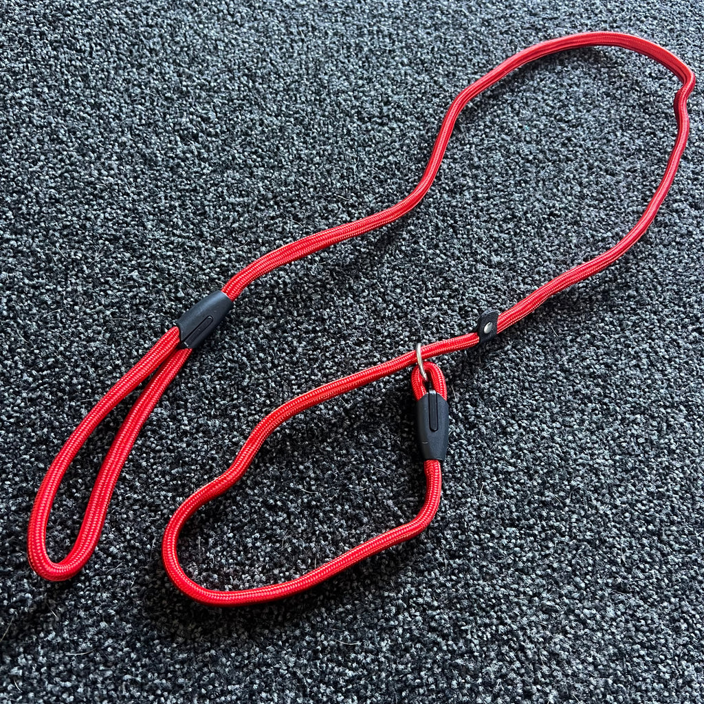 Red dog leash with black clips on a textured black surface