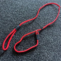 Red dog leash with black clips on a textured black surface