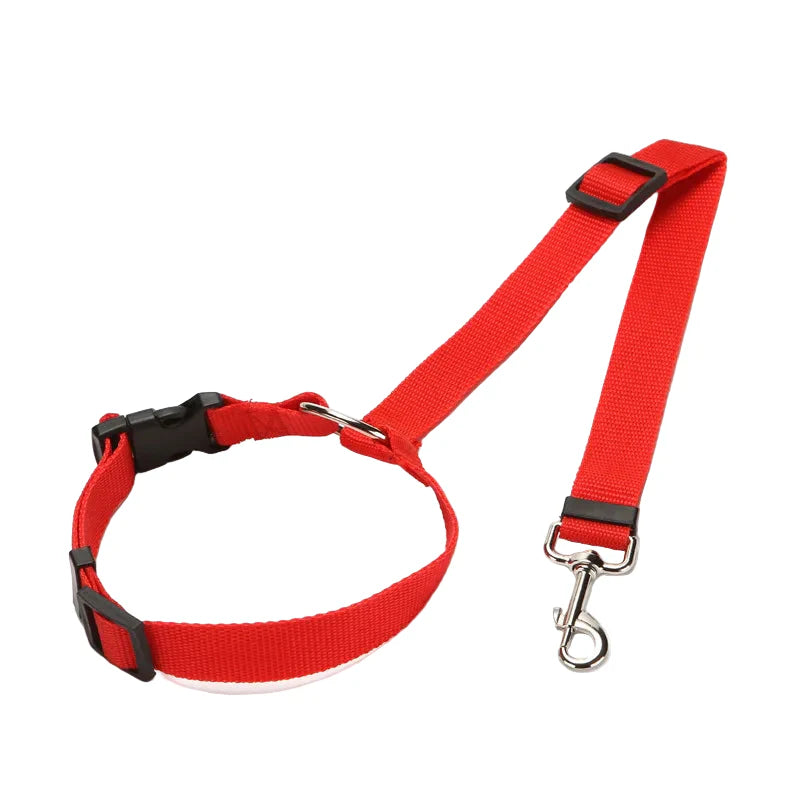Vehicle Belt & Adjustable Nylon Leash for Dogs (7 colours available)