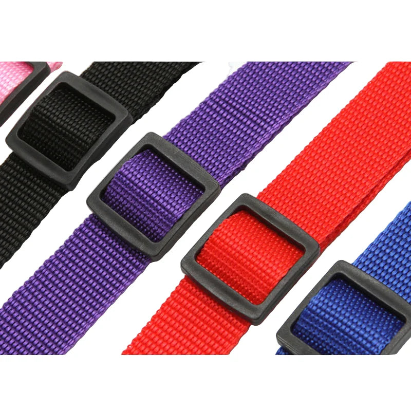 Vehicle Belt & Adjustable Nylon Leash for Dogs (7 colours available)
