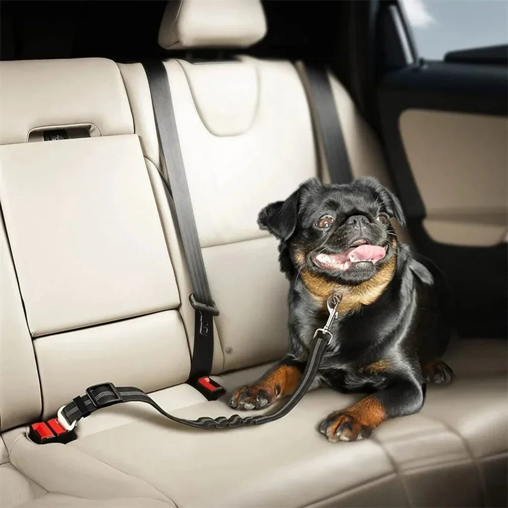 Adjustable Vehicle Harness for Dogs (available in different colors)
