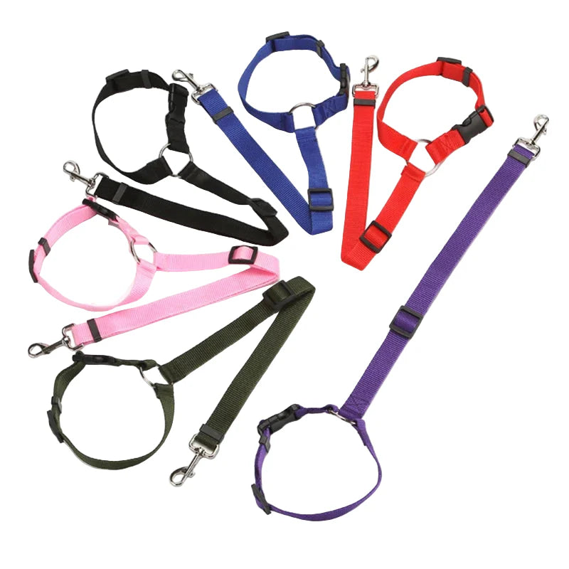 Vehicle Belt & Adjustable Nylon Leash for Dogs (7 colours available)