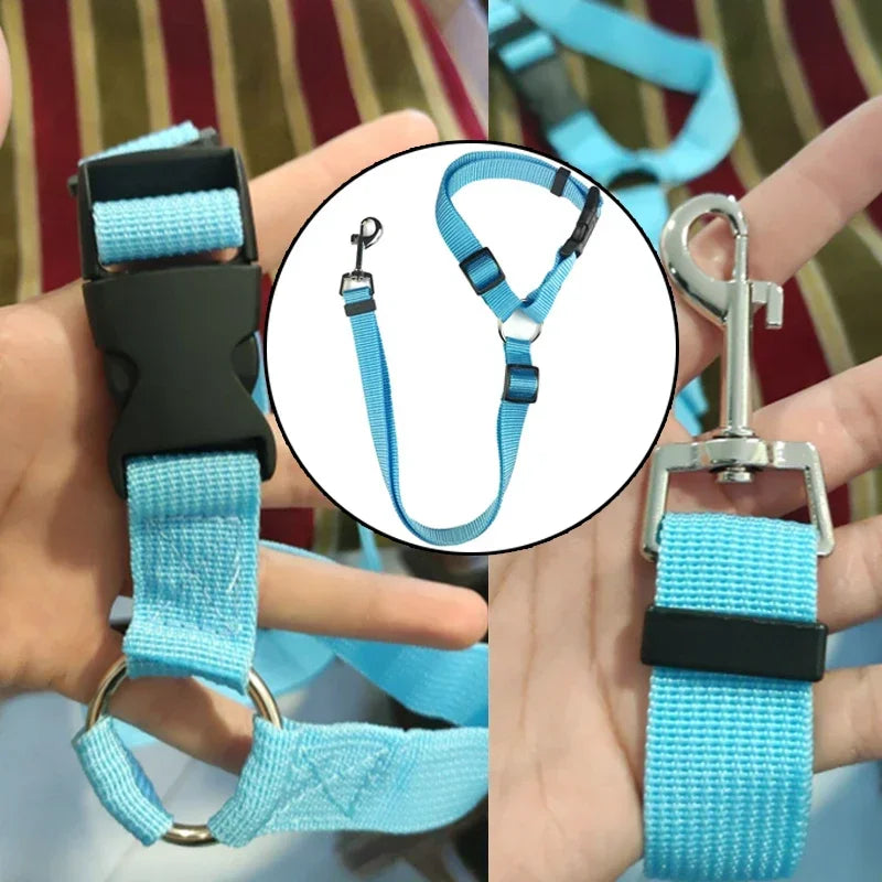 Vehicle Belt & Adjustable Nylon Leash for Dogs (7 colours available)