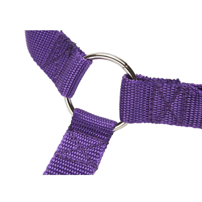 Vehicle Belt & Adjustable Nylon Leash for Dogs (7 colours available)