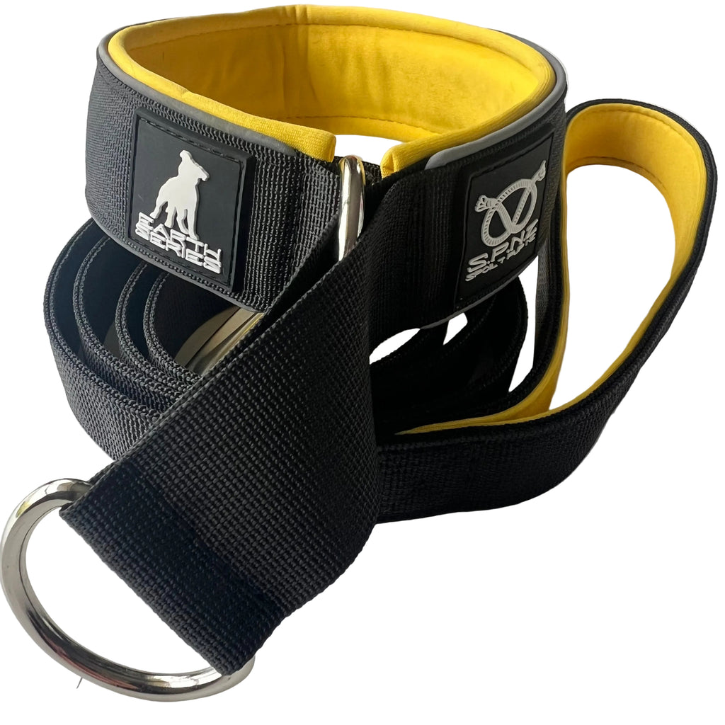 Black and yellow staffordshire bull terrier training leash with metal D-ring on a white background