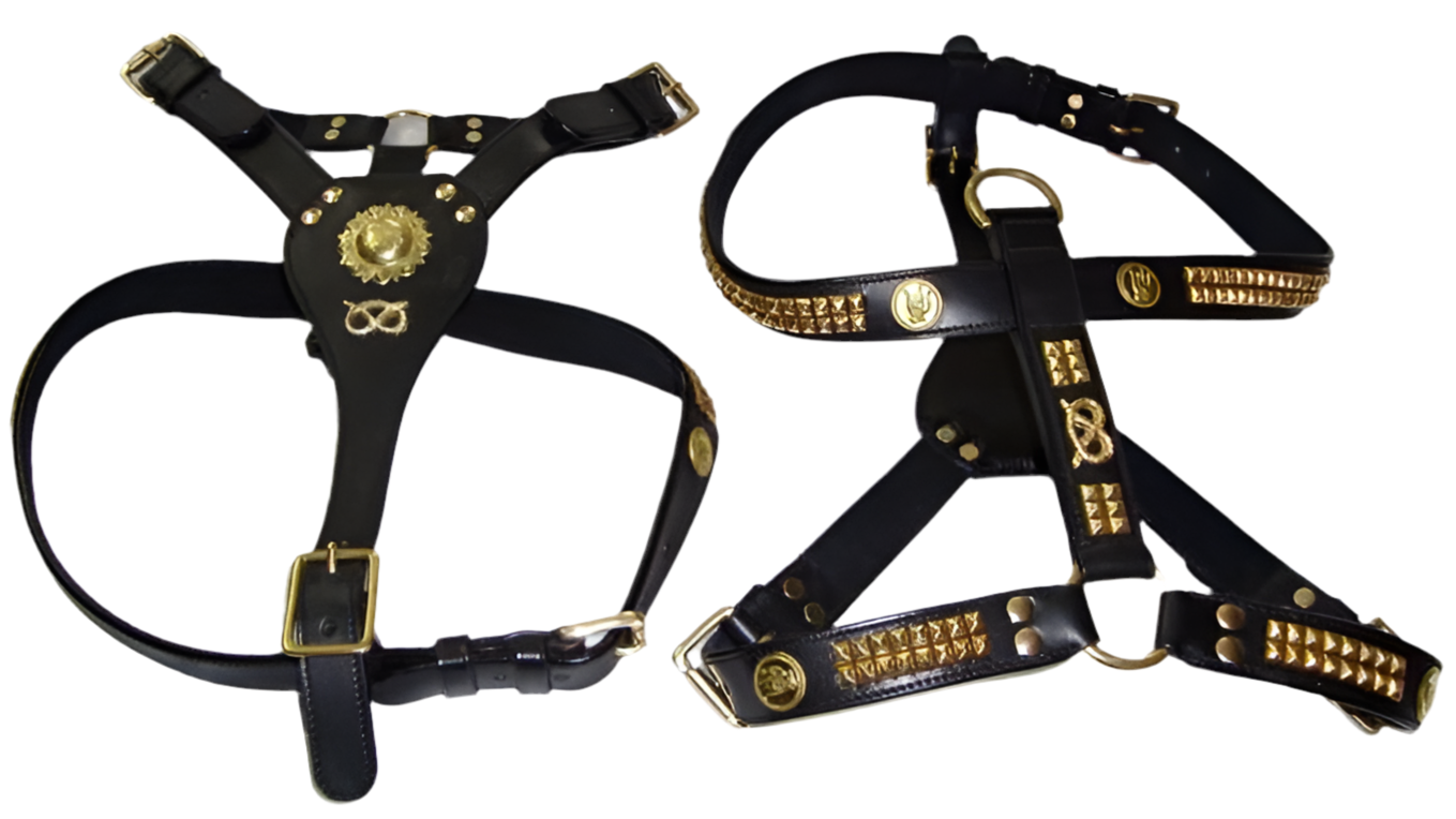 Staffy, Staffordshire Bull Terrier, SBT, Show Collar, Staffie, Staffy Leather harness