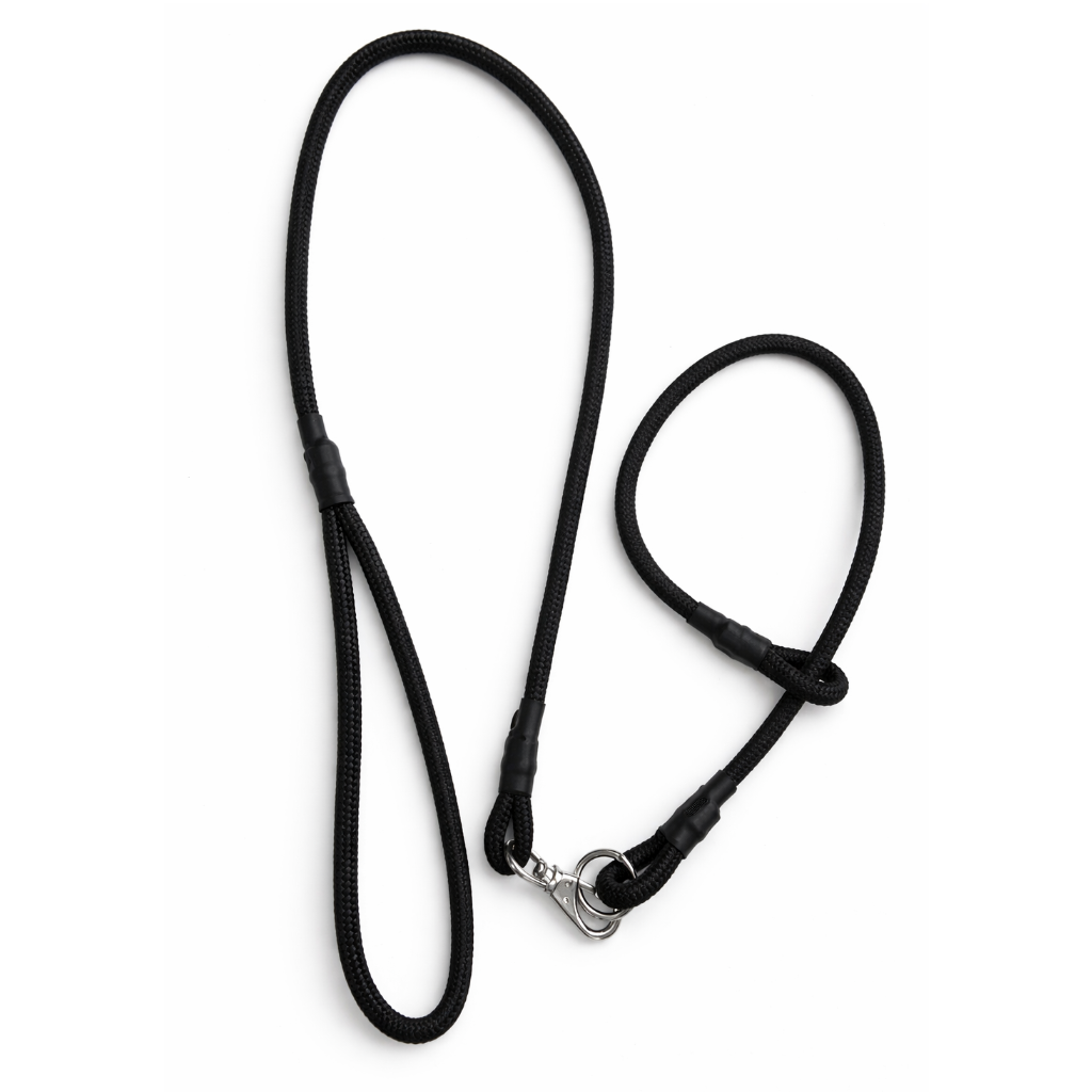 Black staffordshire bull terrier leash on a white background