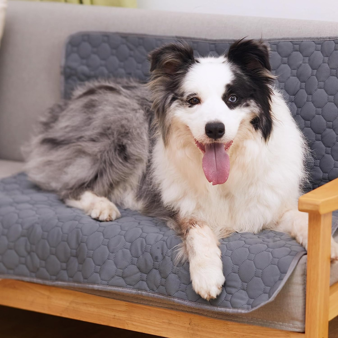 Super Absorbent Washable Pee Pads with Non-Slip Design for Pets