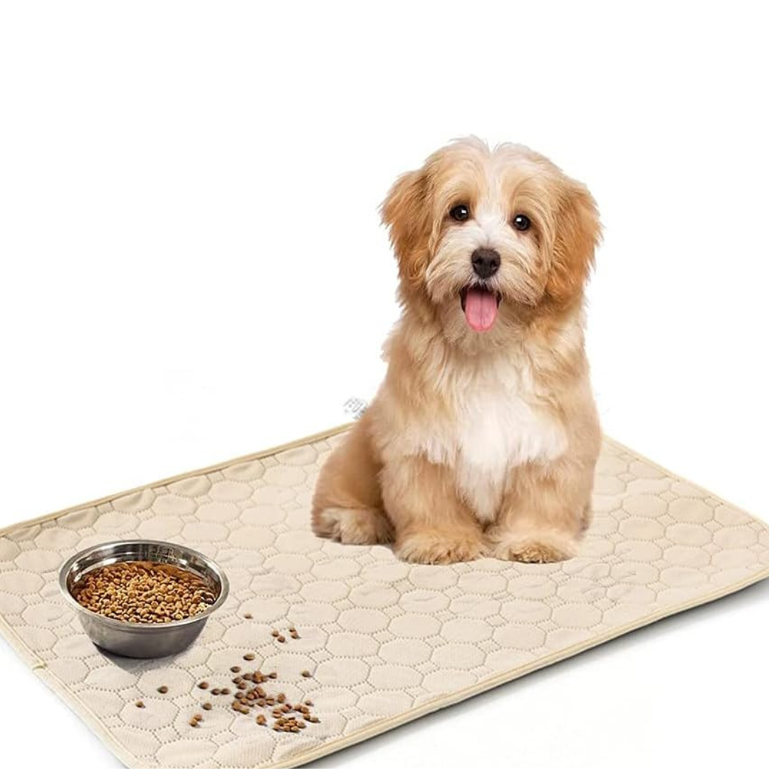 Super Absorbent Washable Pee Pads with Non-Slip Design for Pets