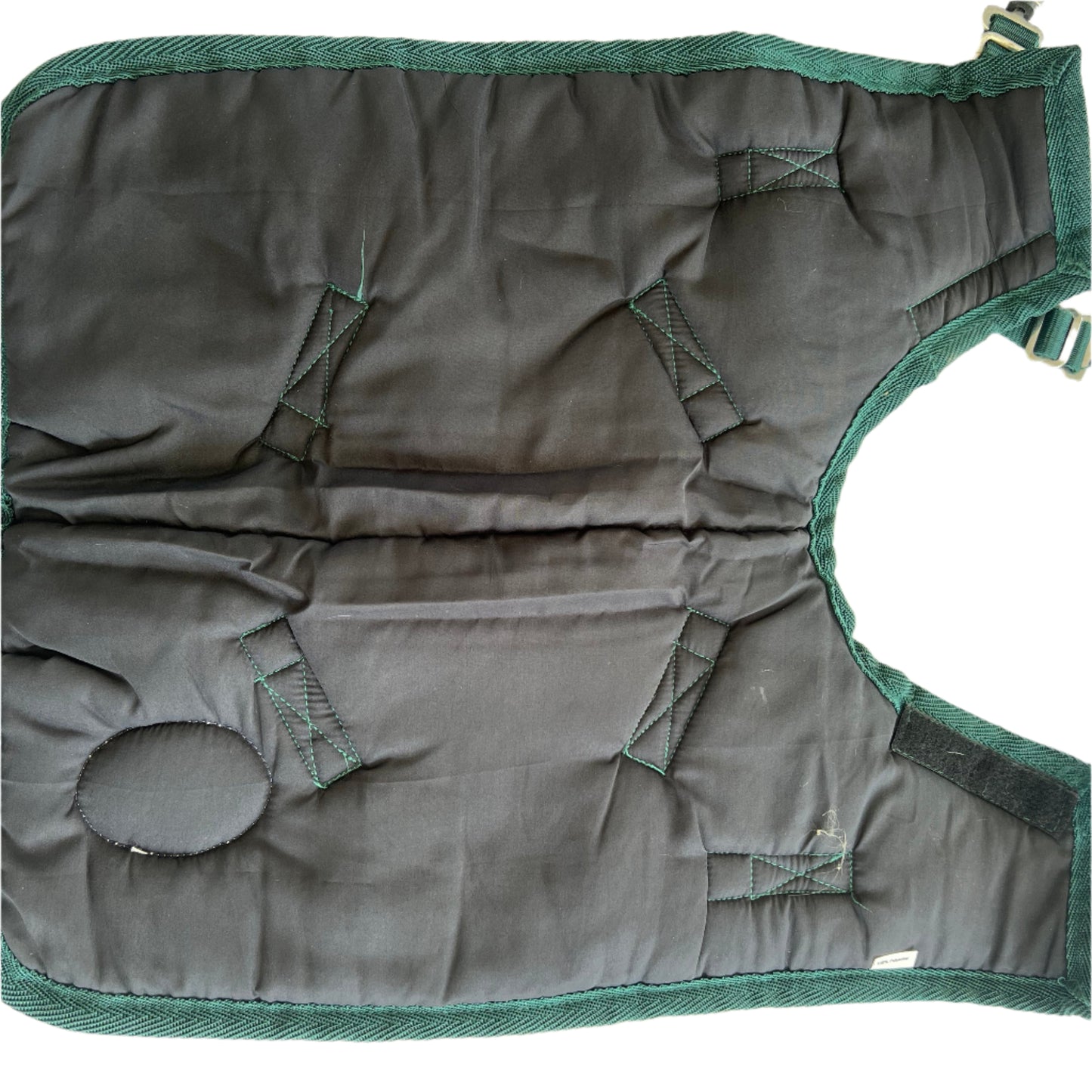 Staffy, Staffordshire Bull Terrier, SBT, Show Collar, Staffie, Waterproof jacket