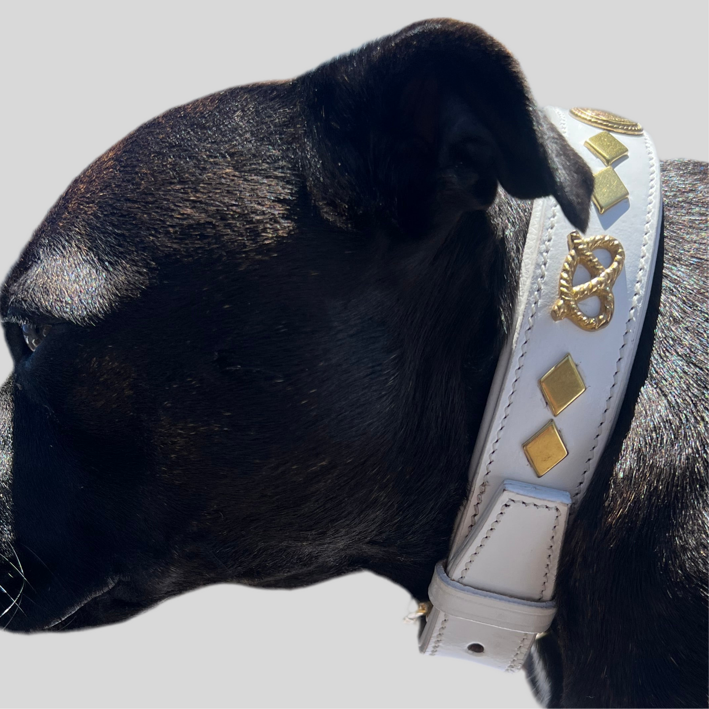 Staffy, Staffordshire Bull Terrier, SBT, Show Collar, Staffie, Wide Leather Collar