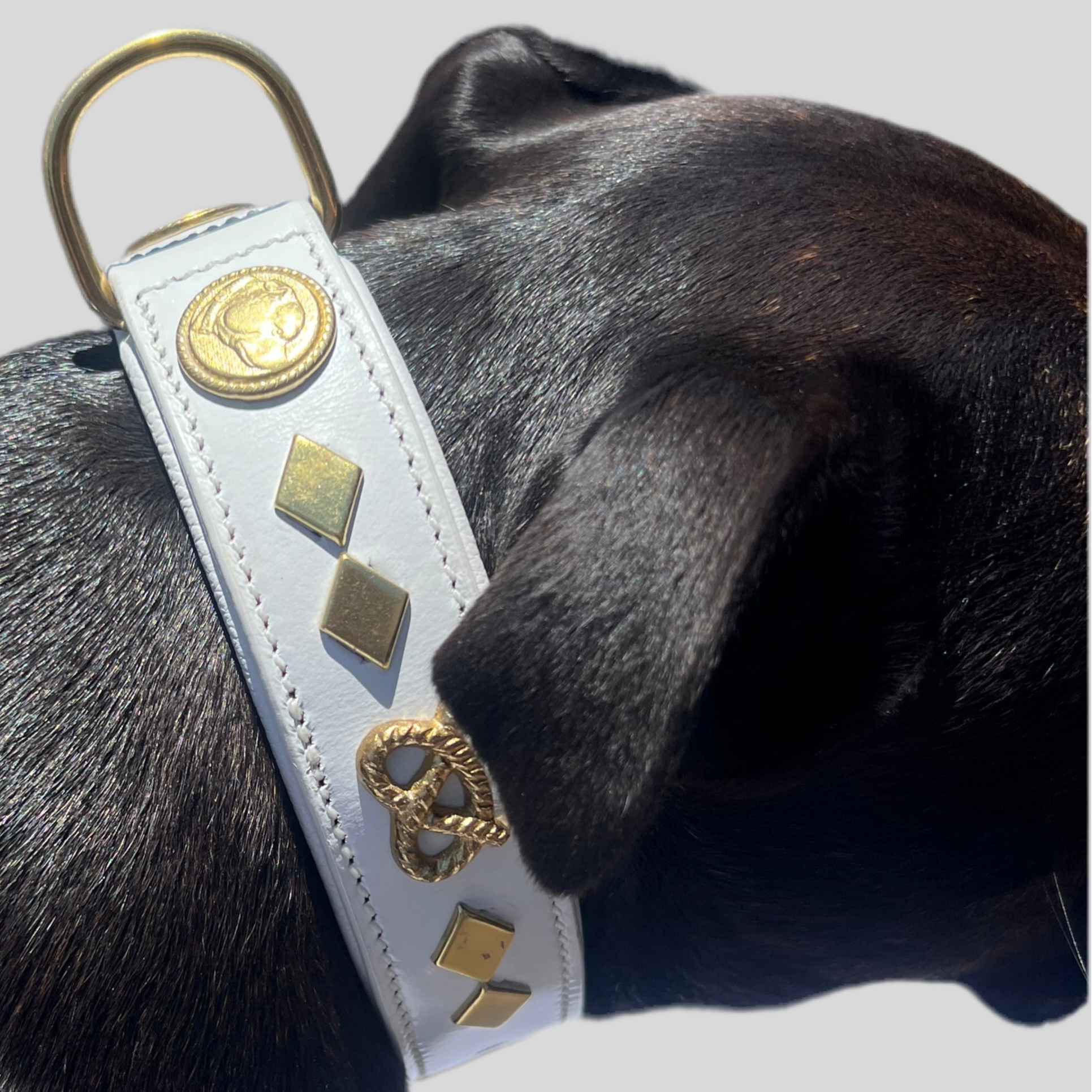 Staffy, Staffordshire Bull Terrier, SBT, Show Collar, Staffie, Wide Leather Collar