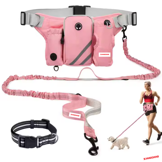 ZINGDOG Hands-Free Dog Leash with Waist Pouch for Running, Walking & Hiking
