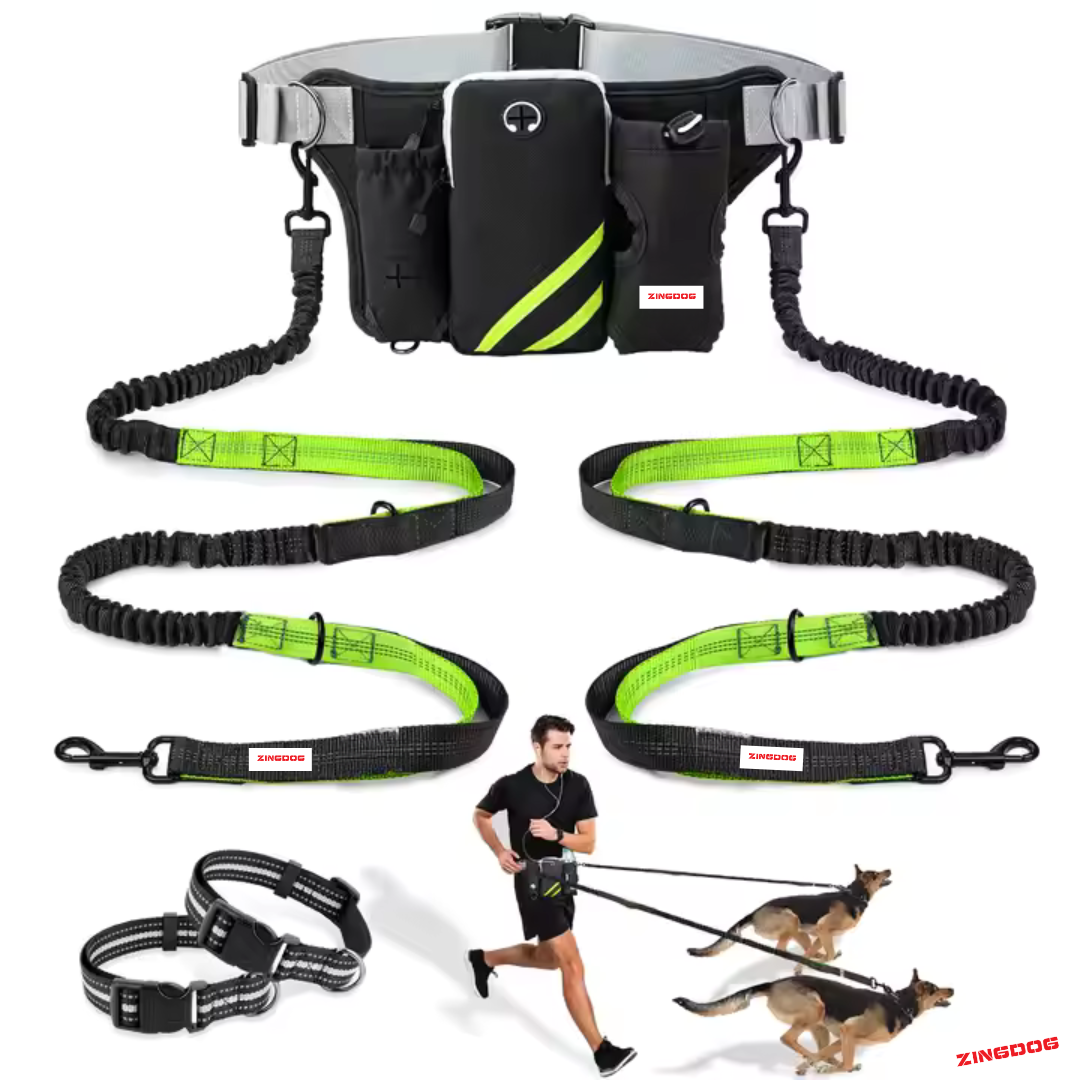 ZINGDOG Hands-Free Dual Dog Leash with Waist Pouch for Running, Walking & Hiking