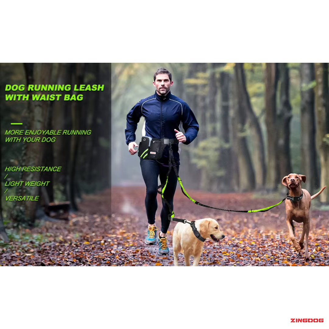 ZINGDOG Hands-Free Dual Dog Leash with Waist Pouch for Running, Walking & Hiking