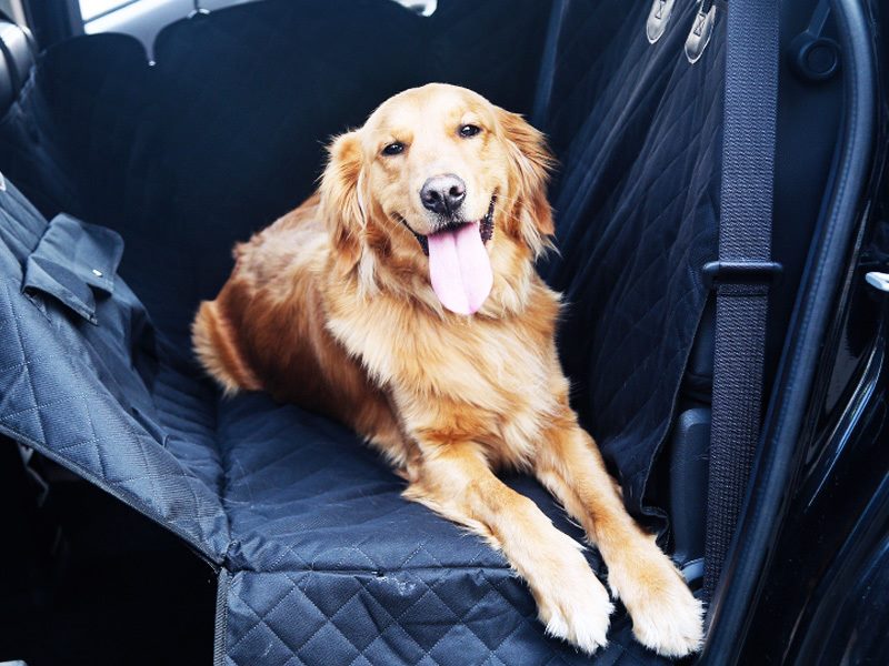 Multifunction Waterproof Pet Back Car Seat Cover Hammock NonSlip Protector Mat