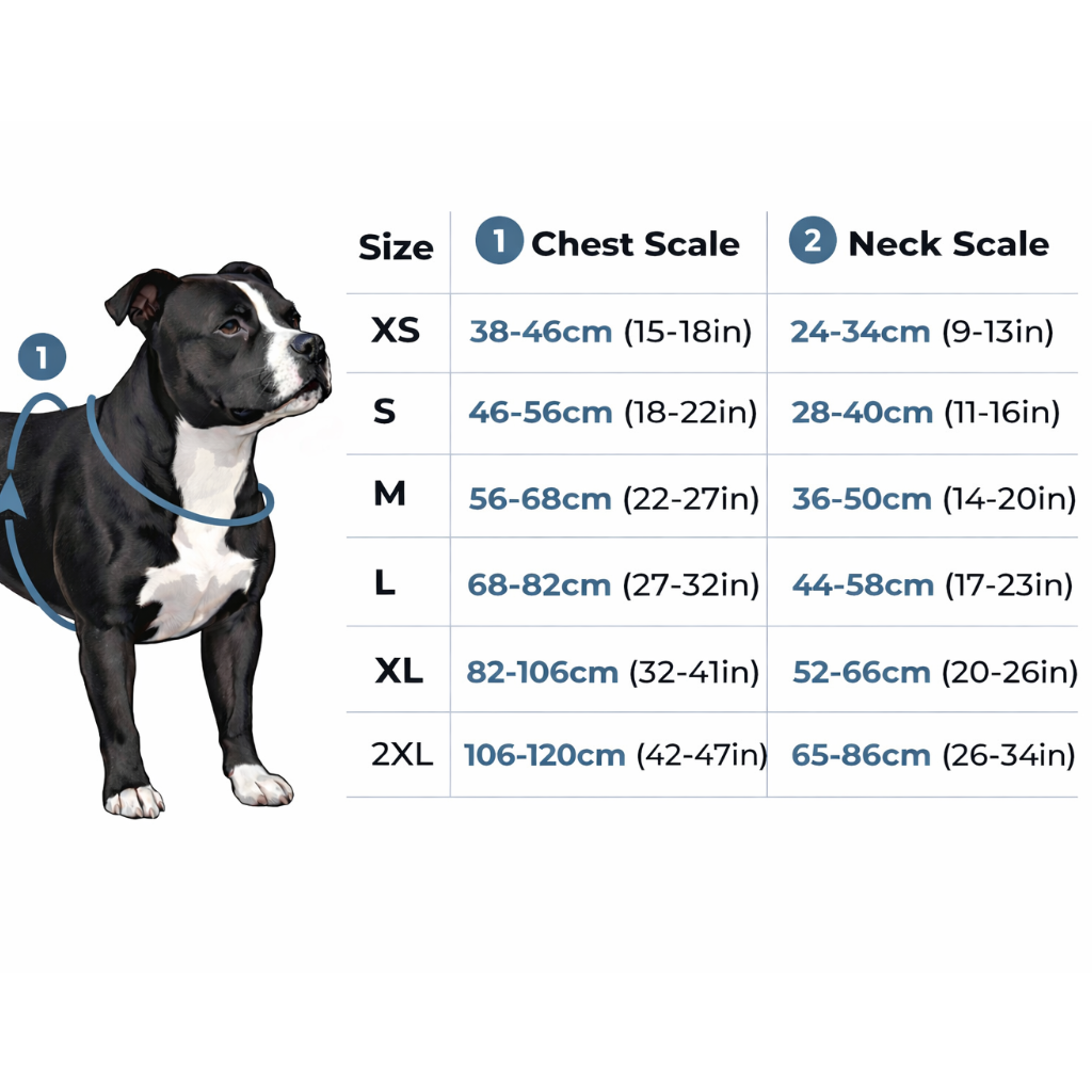 Dog size chart with chest and neck measurements for different sizes.