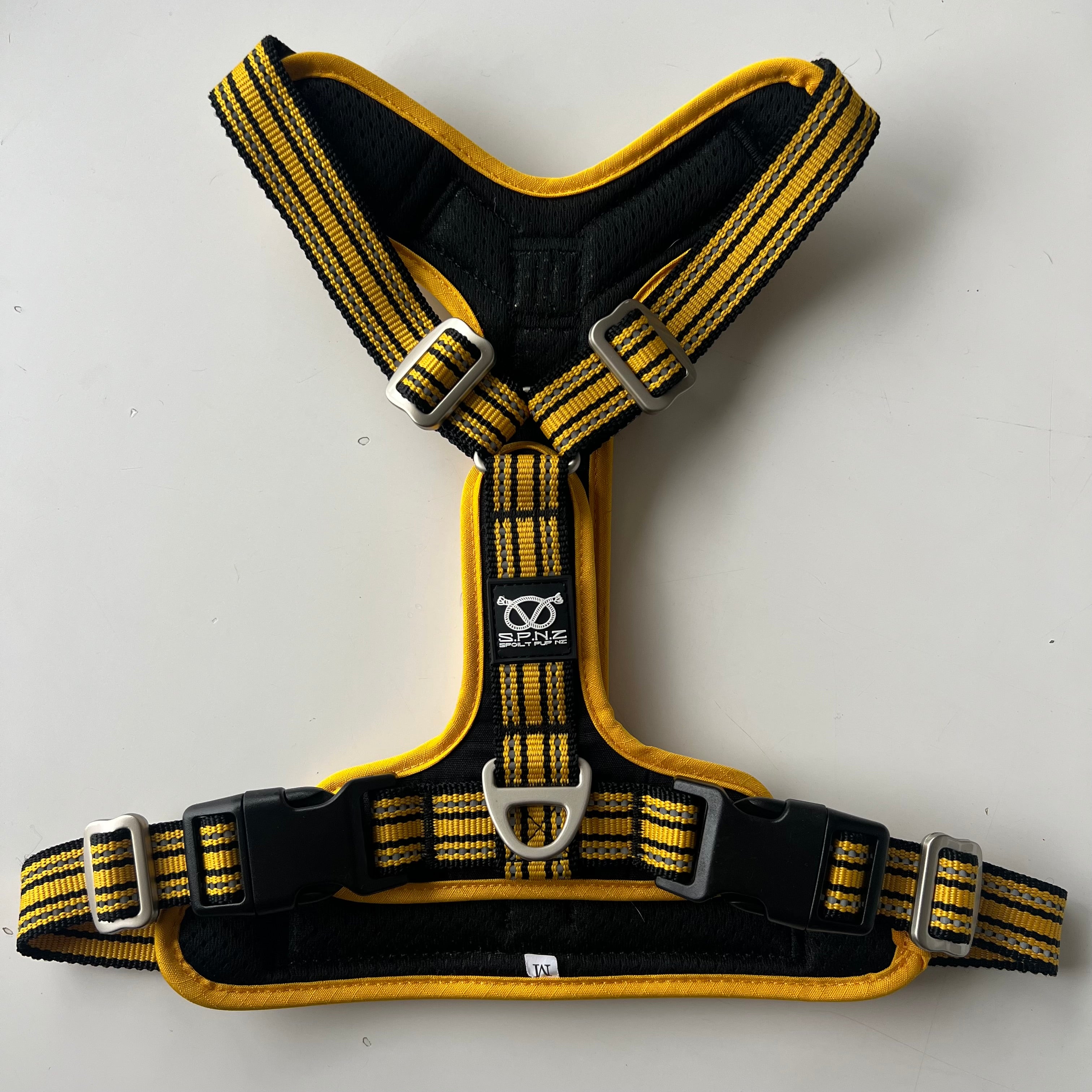 Black and yellow staffordshire bull terrier harness on a white background