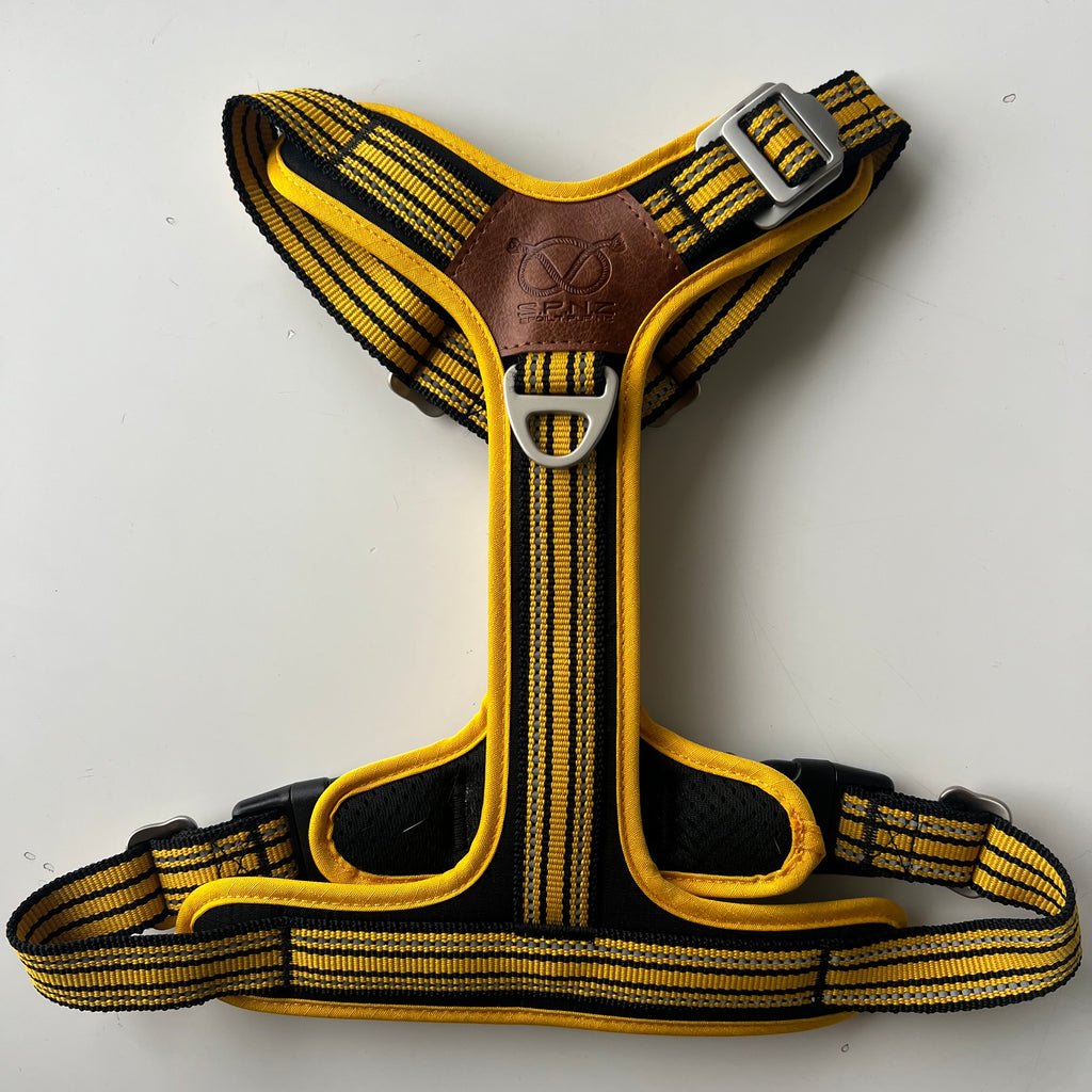 staffordshire bull terrier harness with yellow and black striped pattern on a white background