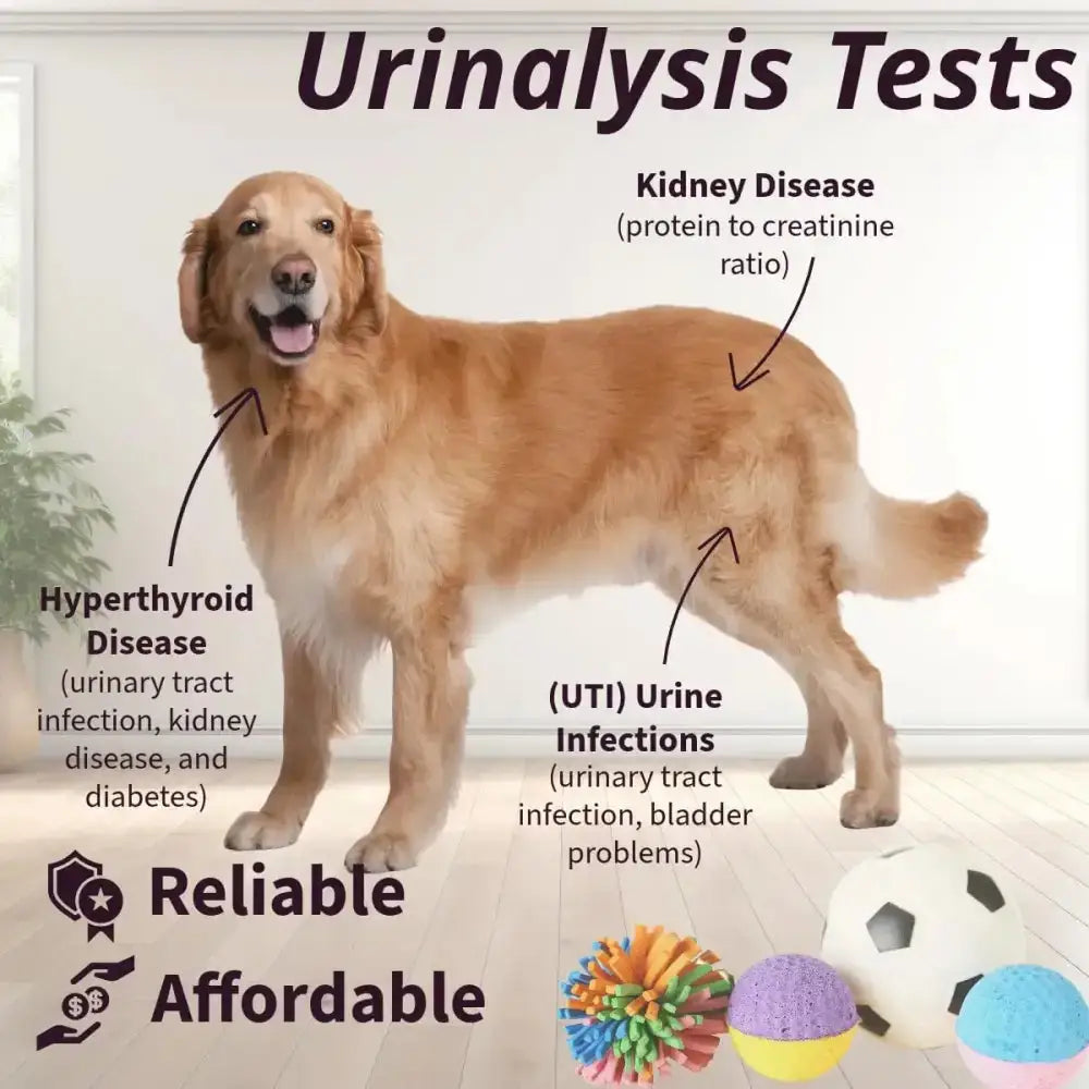Pet Urine Testing Strips (x 100)