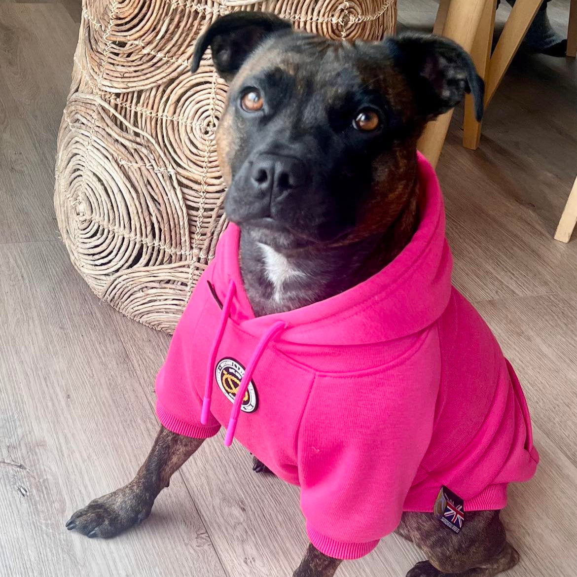 Staffy, Staffordshire Bull Terrier, SBT, Show Collar, Staffie, staffy pink  hoodie