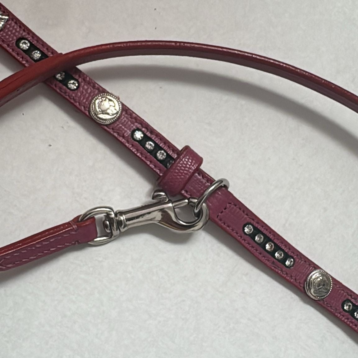 Staffy, staffie, Staffordshire bull terrier, dog, dogs, dog lovers, show dogs, SBT, Show Collar, Staffie, staffy show collar