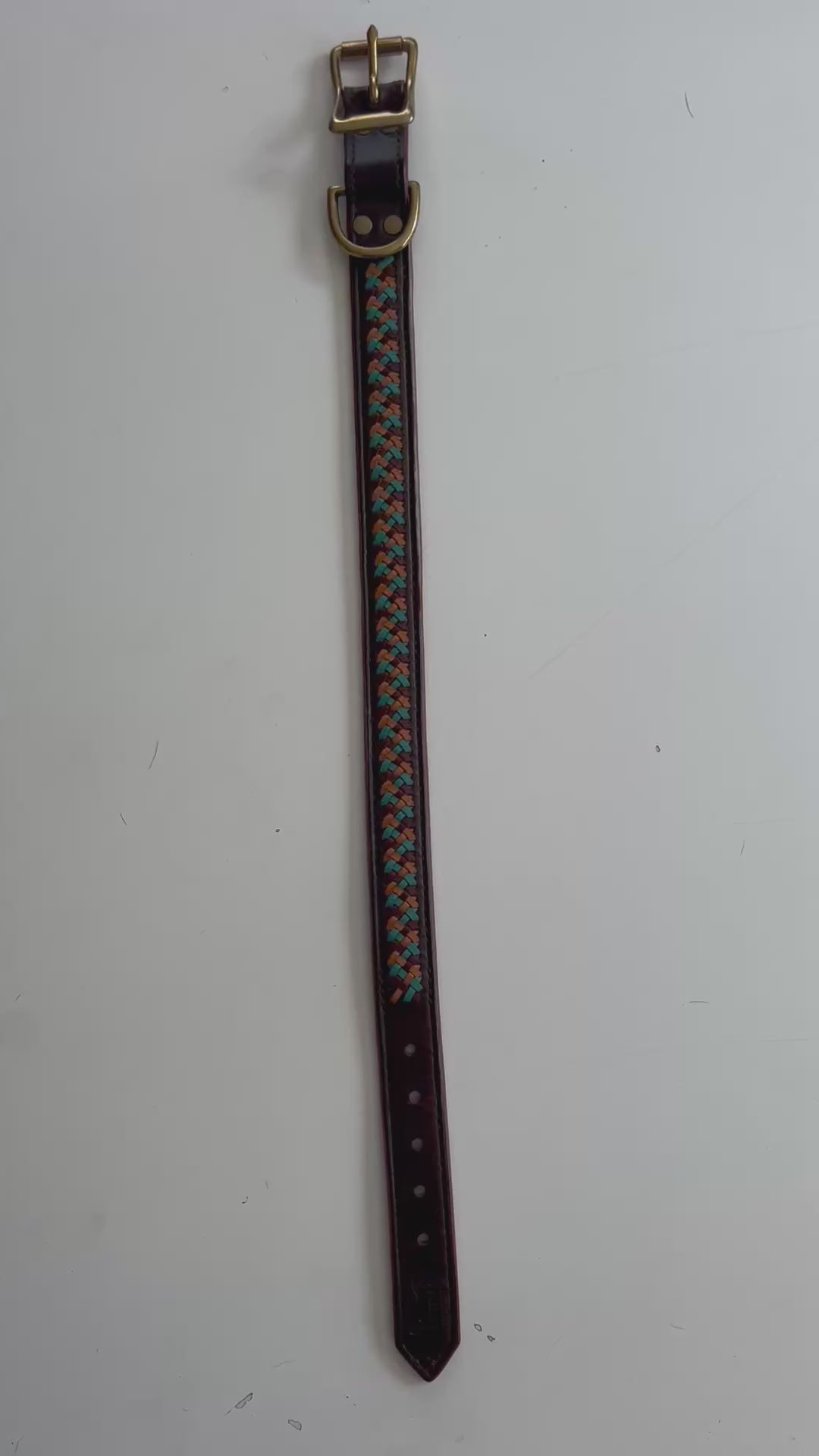Staffy, Staffordshire Bull Terrier, SBT, Show Collar, Staffie, Leather Collar