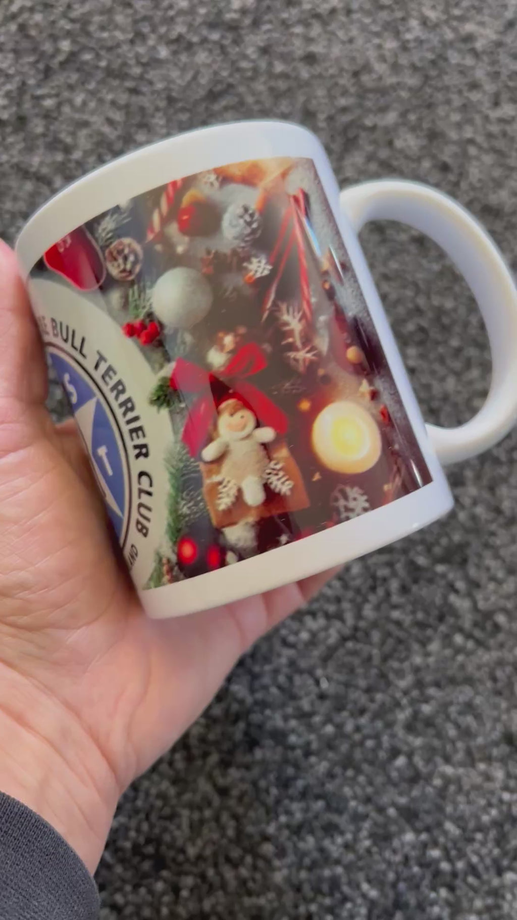NSBTC Xmas Mug