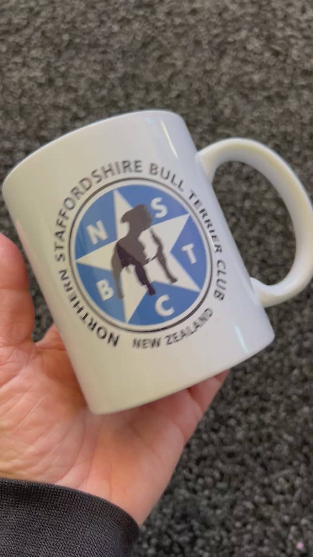 NSBTC Mug