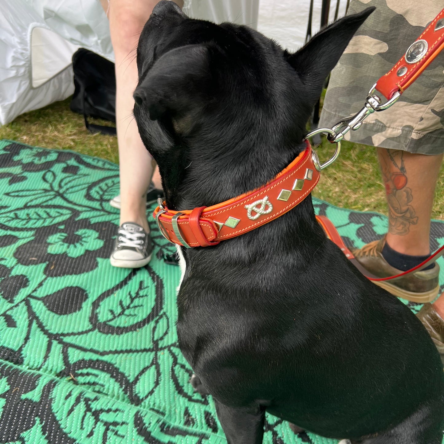 Staffy, staffie, Staffordshire bull terrier, dog, dogs, dog lovers, show dogs, SBT, Show Collar, Staffie, staffy wide leather collar set