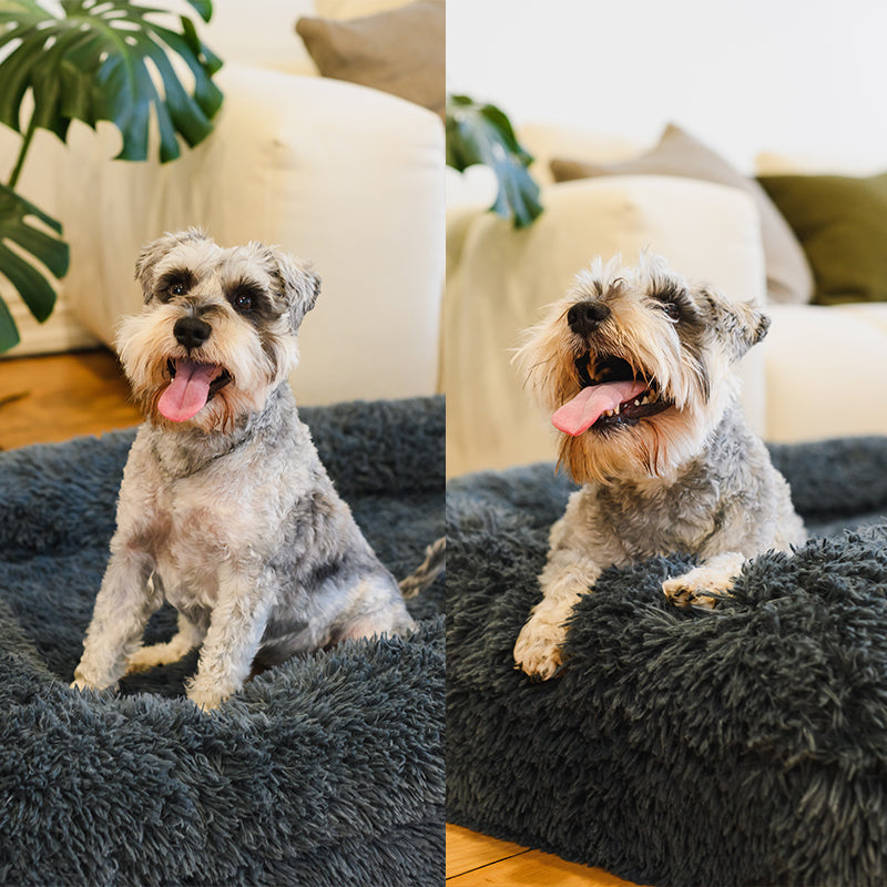 Brooklyn® Memory Foam Bolster Bed