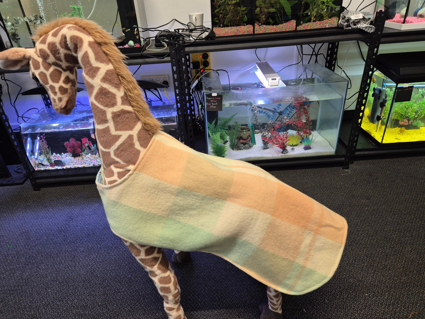 Recycled Wool Blanket Dog Coat 57 cm