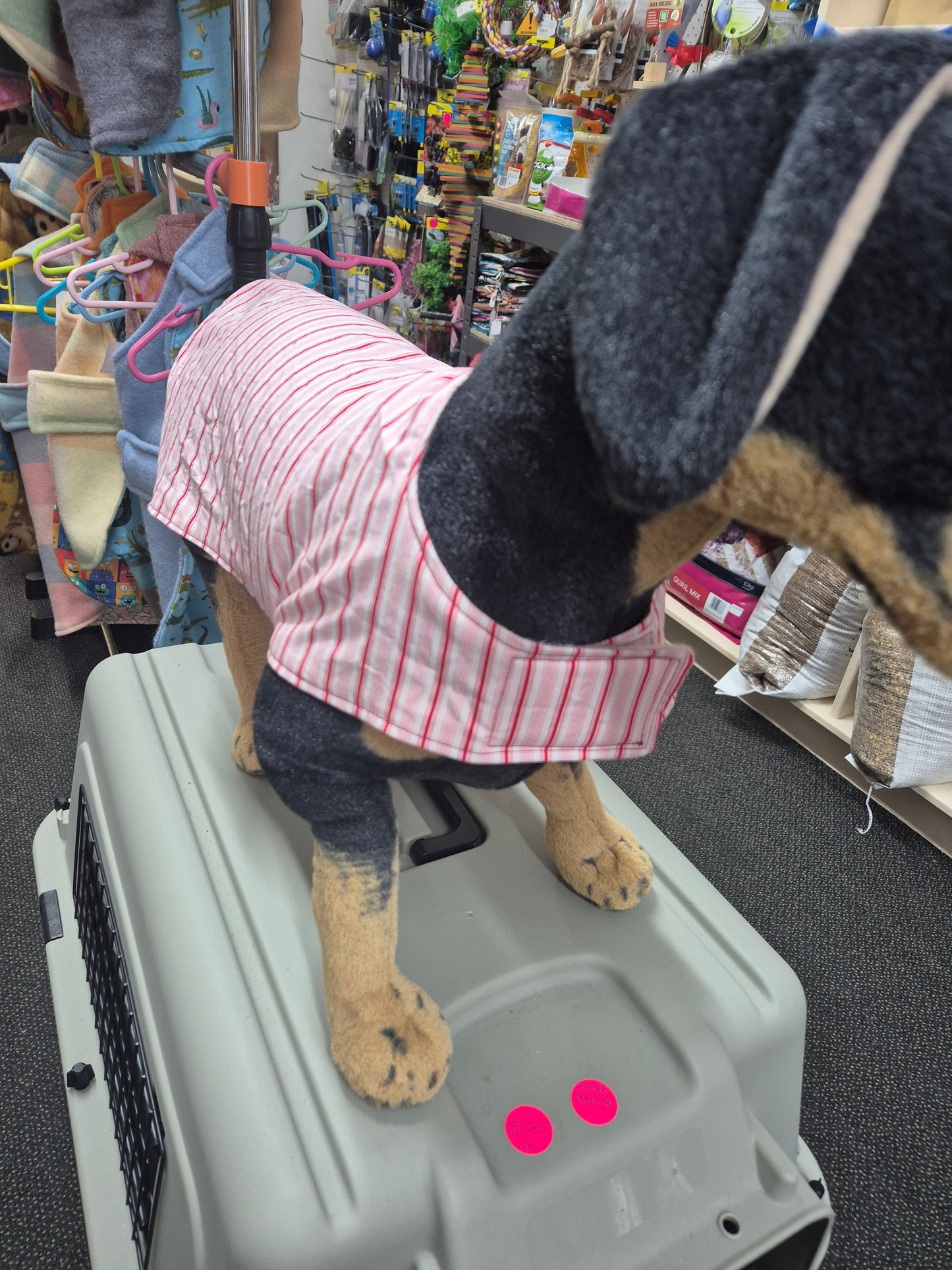 *Limited Edition* Candy Stripe - Size 47cm.