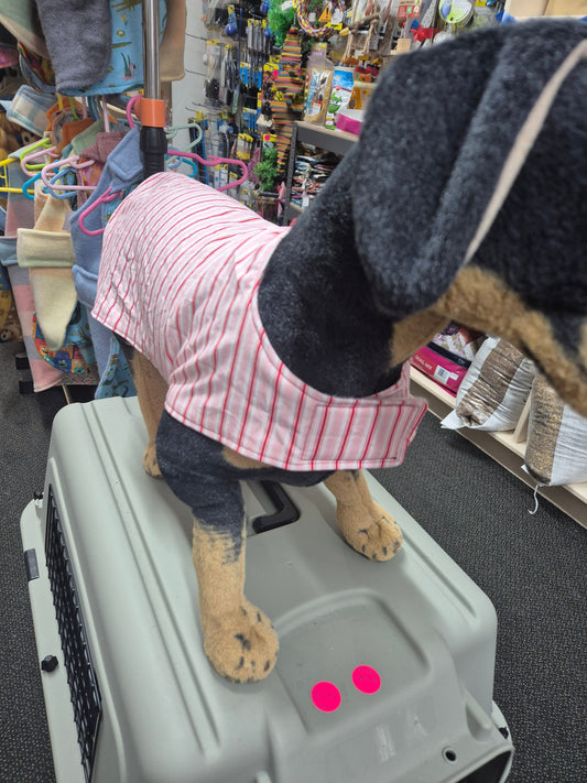 *Limited Edition* Candy Stripe - Size 47cm.