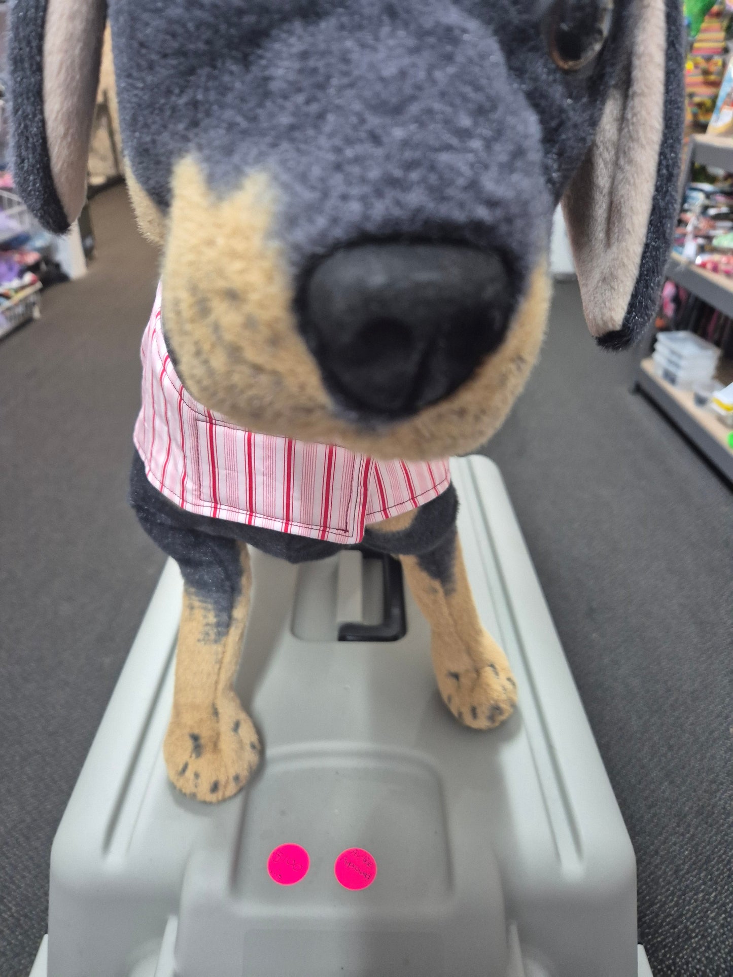 *Limited Edition* Candy Stripe - Size 47cm.