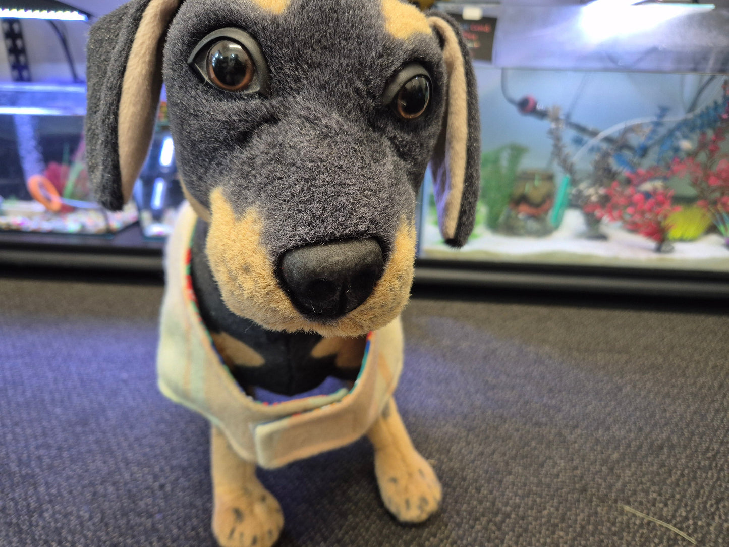 Recycled Wool Blanket Dog Coat 41cm