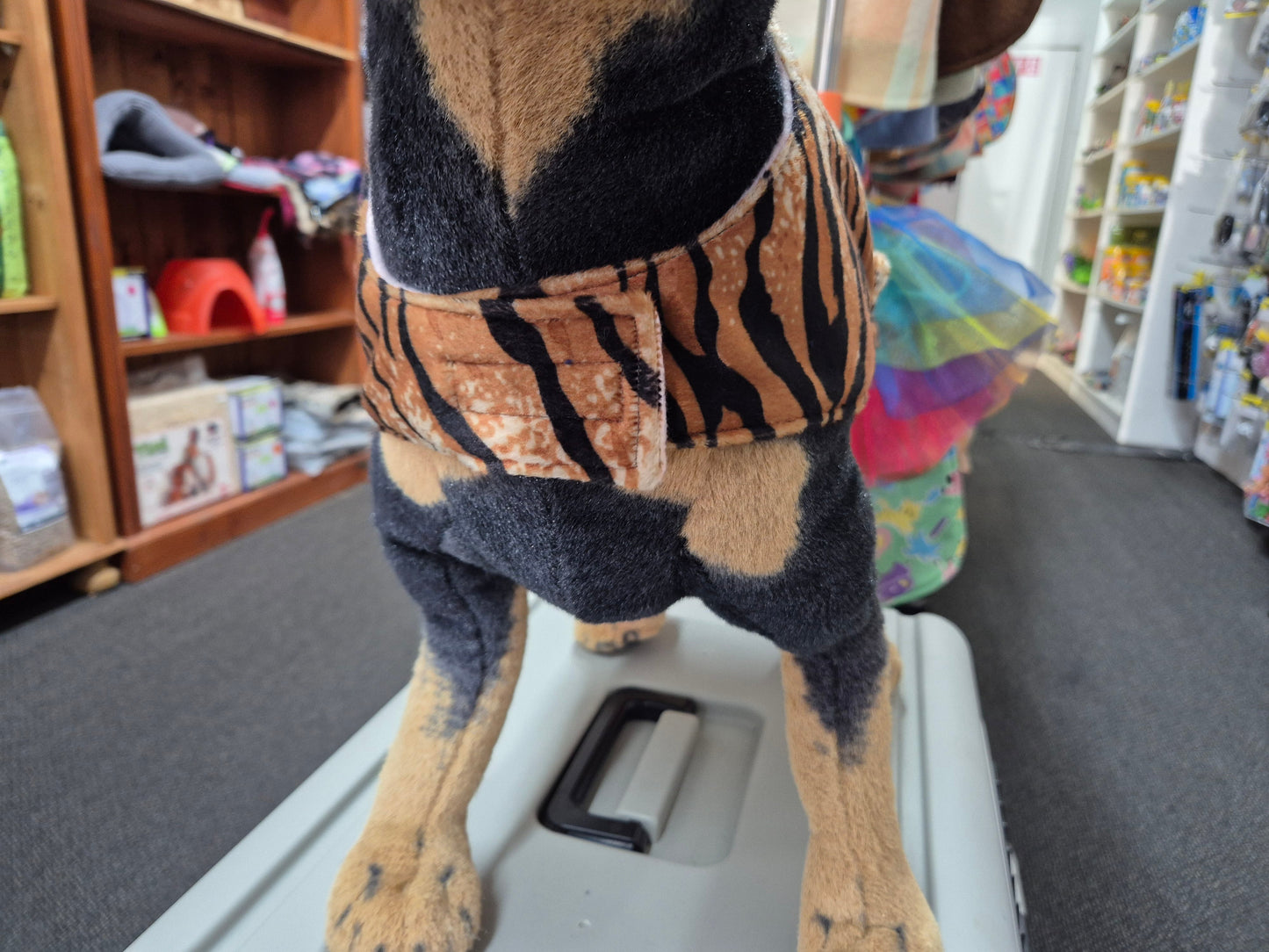 *Limited Edition* ROAR - Size 40cm.