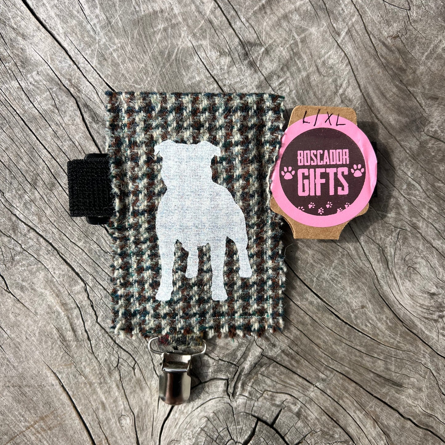 Staffy, staffie, Staffordshire bull terrier, dog, dogs, dog lovers, show dogs, SBT, Show Collar, Staffie, show ring arm bands