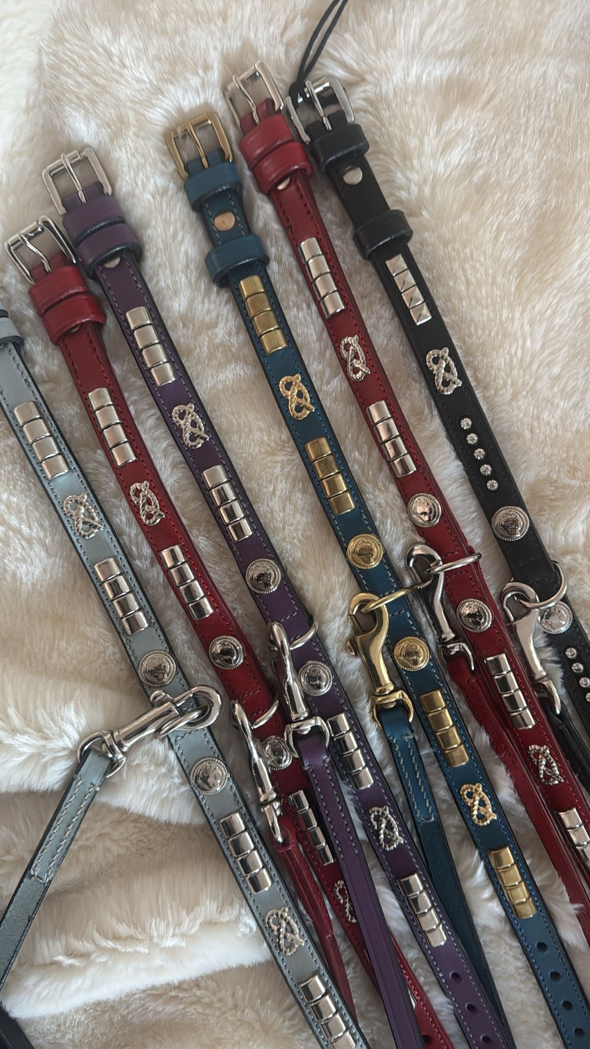 Staffy, staffie, Staffordshire bull terrier, dog, dogs, dog lovers, show dogs, SBT, Show Collar, Staffie, Staffy show collar sets