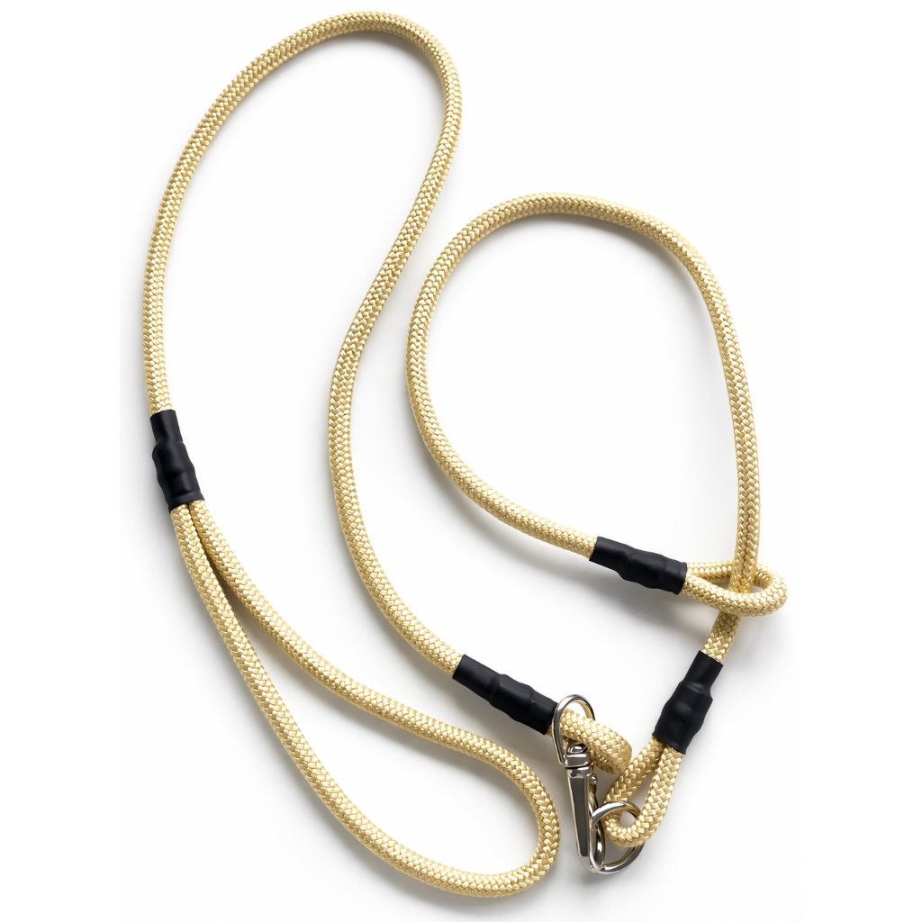 Beige staffordshire bull terrier leash with black clips on a white background