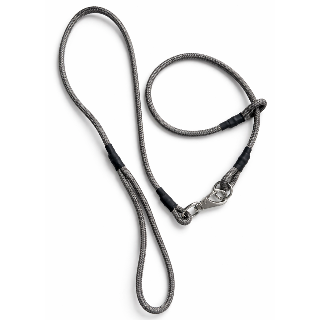 staffordshire bull terrier leash with a metal clip on a white background