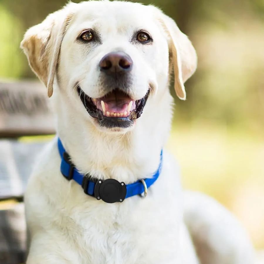 Waterproof Apple Air Tag Holder for Dogs